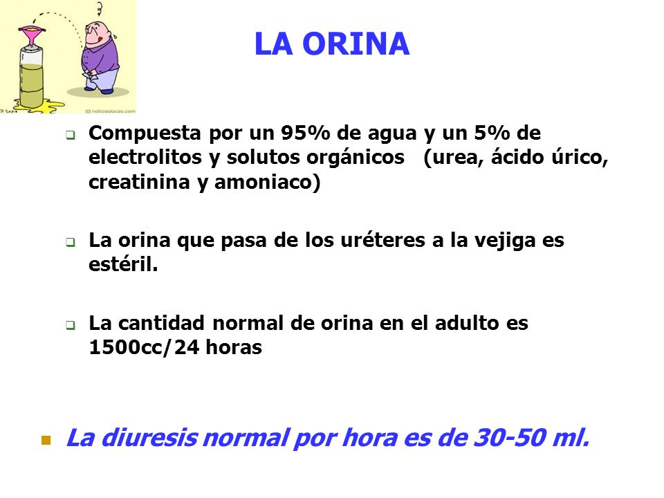 Cantidad normal de orina en 24 horas